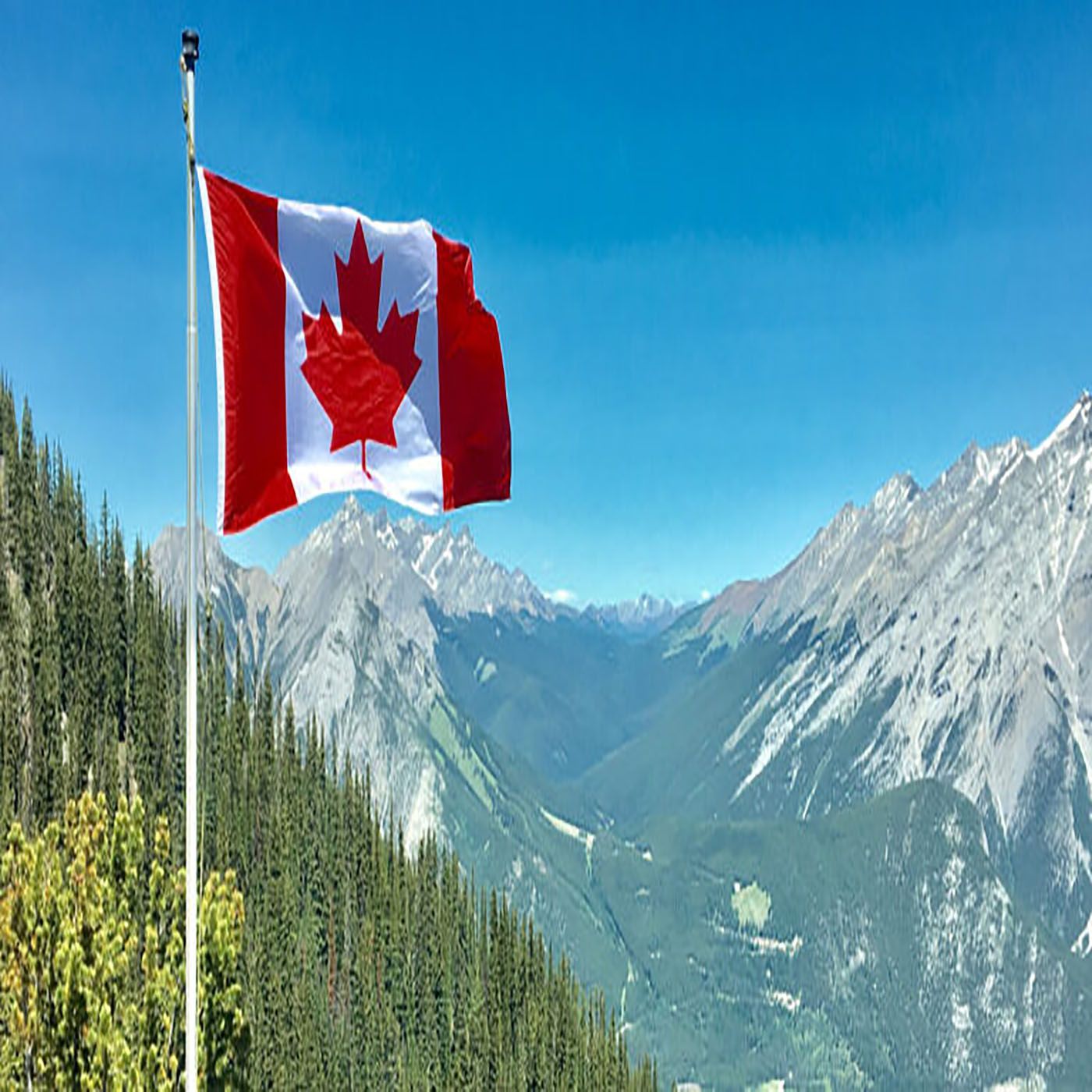 OpenCanuck.com Launches Independent Media Aggregation to Preserve Canadian Media Diversity and Freed podcast artwork