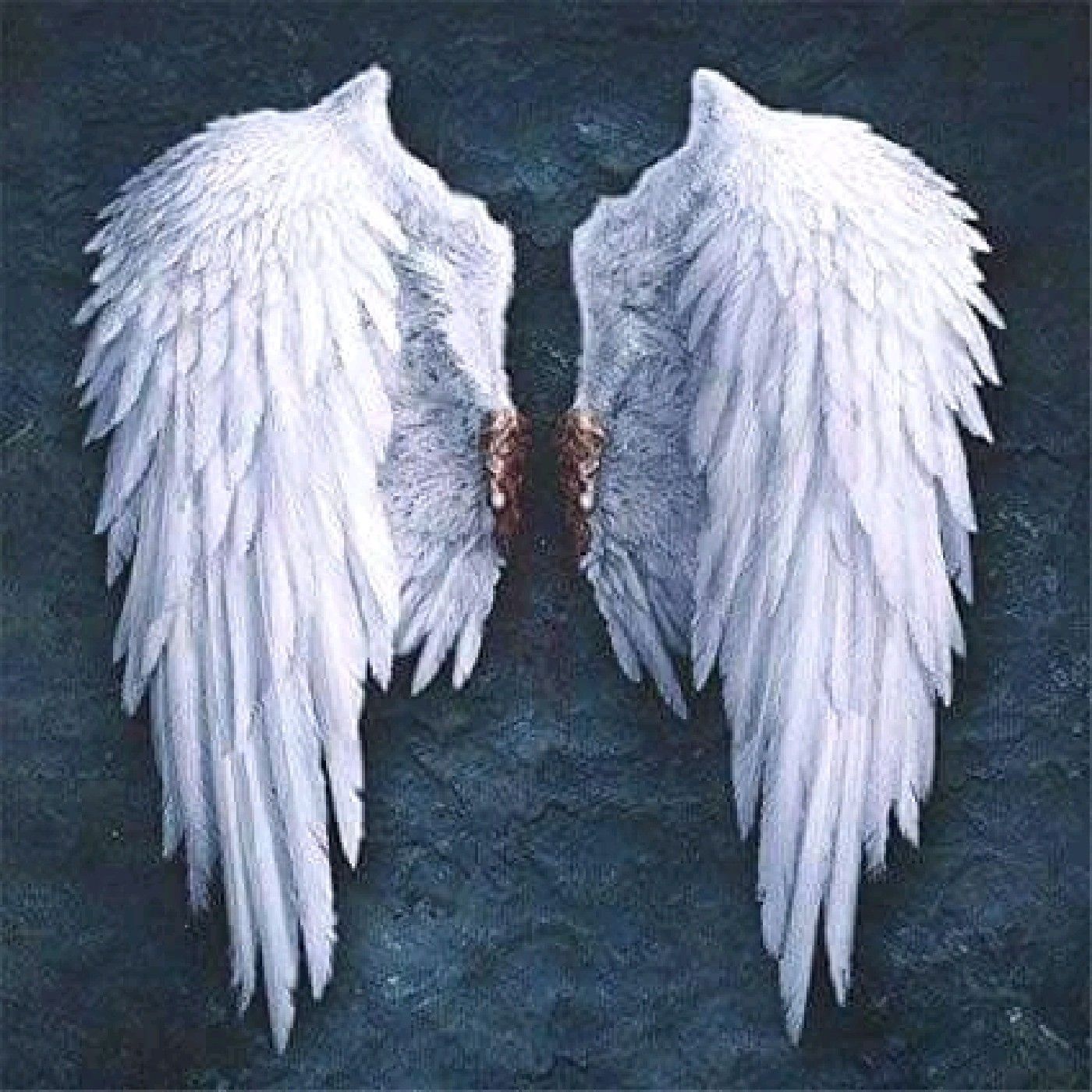 Ángel El 9 De 12