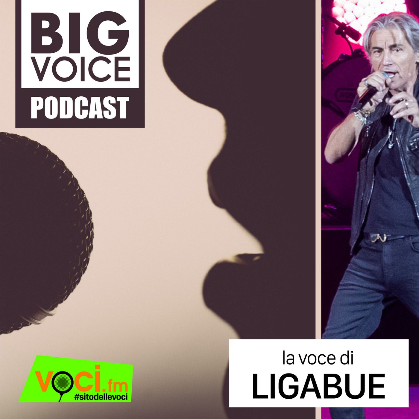 Voci.fm
