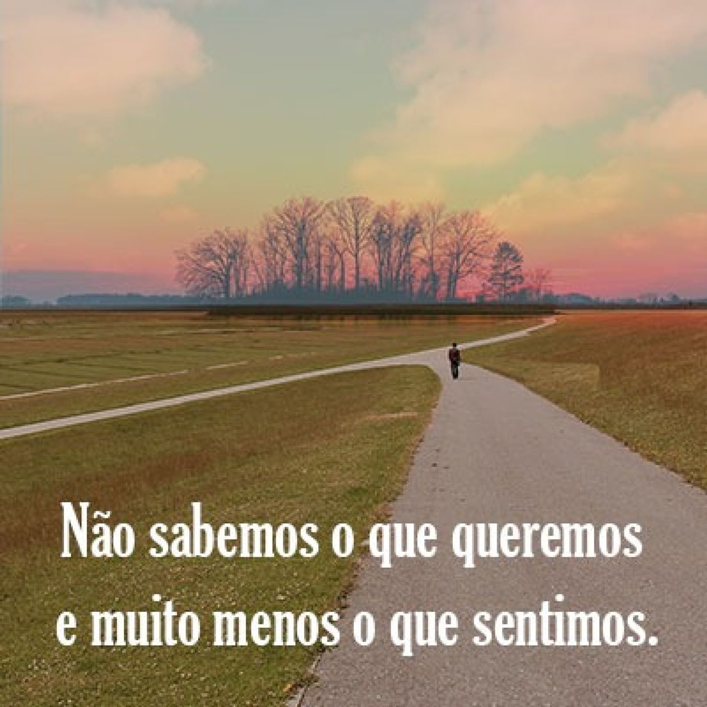 Não sabemos o que queremos e muito menos o que sentimos. episode artwork