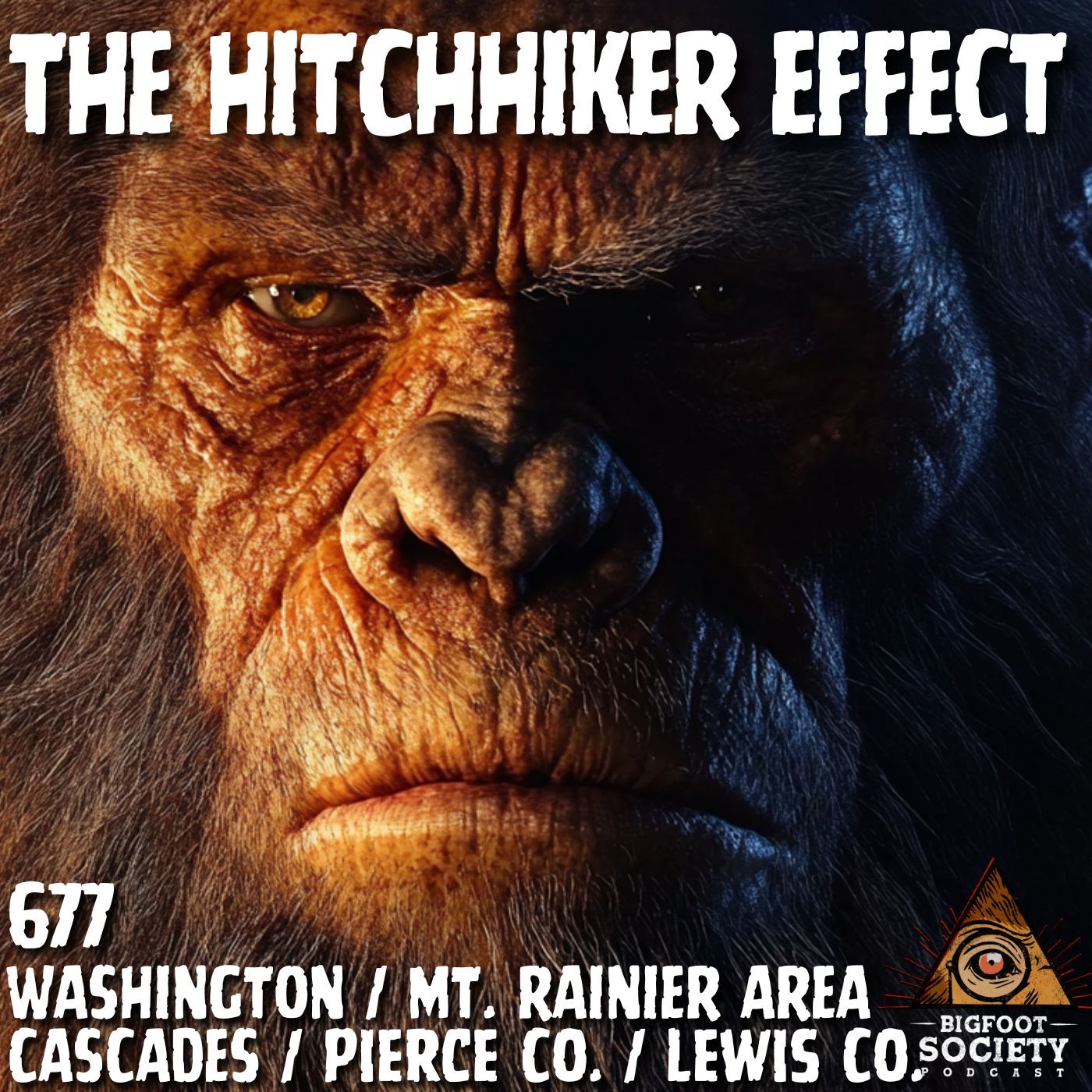 The Hitchhiker Effect | Mt. Rainier Area | Washington