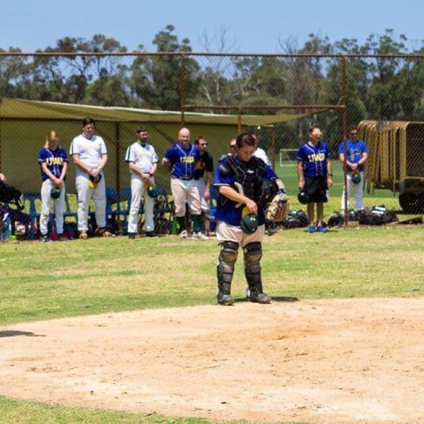 Ladywhips Baseball