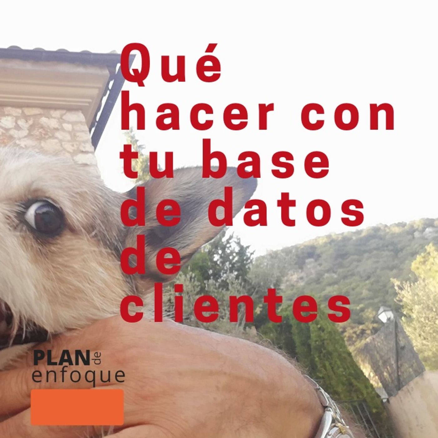 Portada de Marca personal e influencia B2B, con Juanjo Amengual