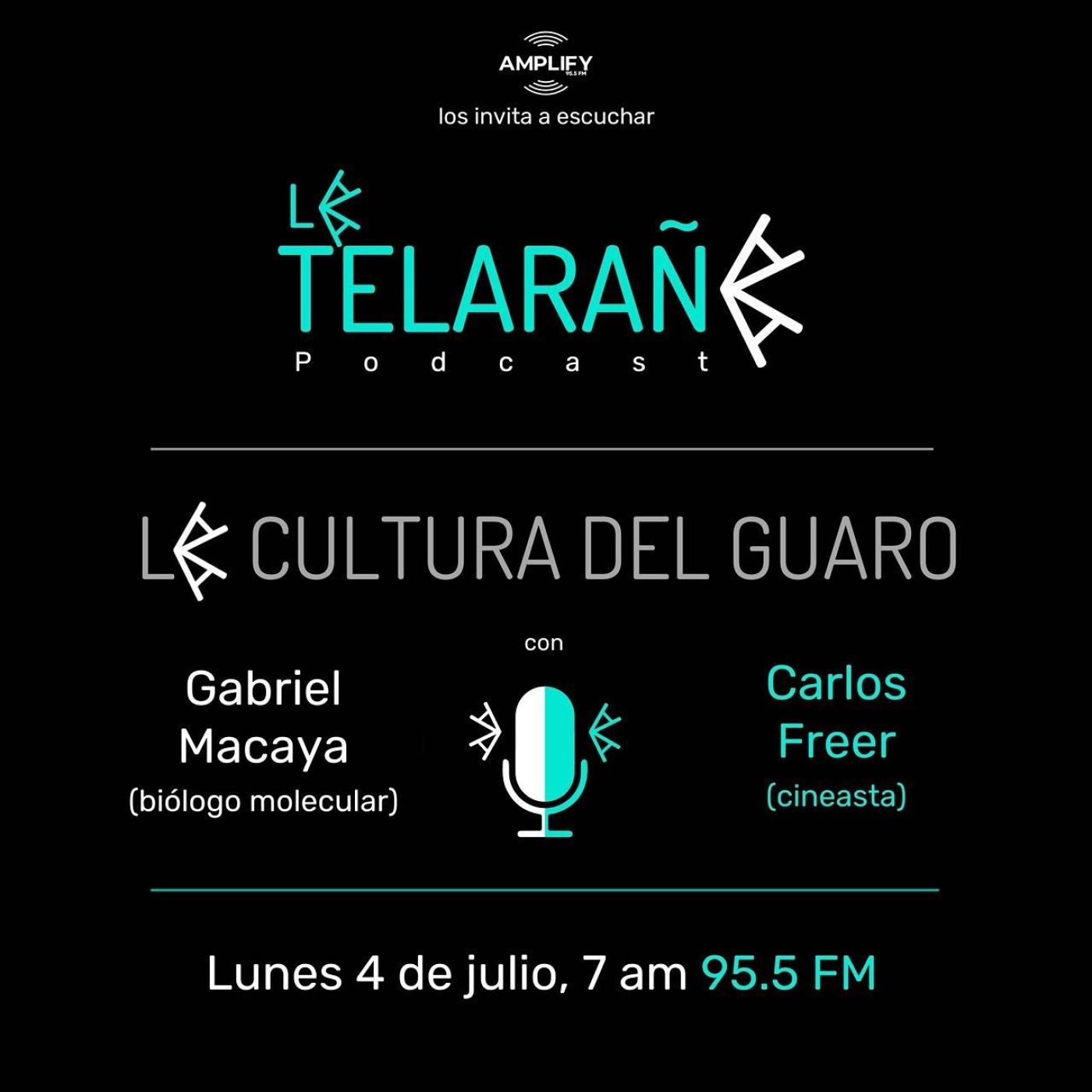Portada de La Telaraña