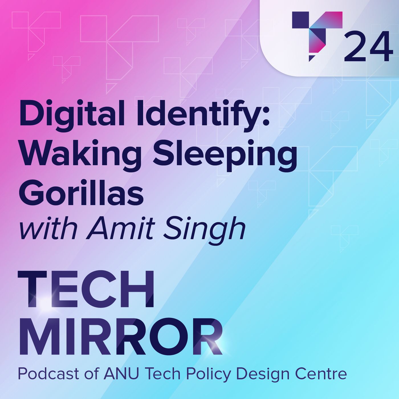 Digital Identify: Waking Sleeping Gorillas episode artwork