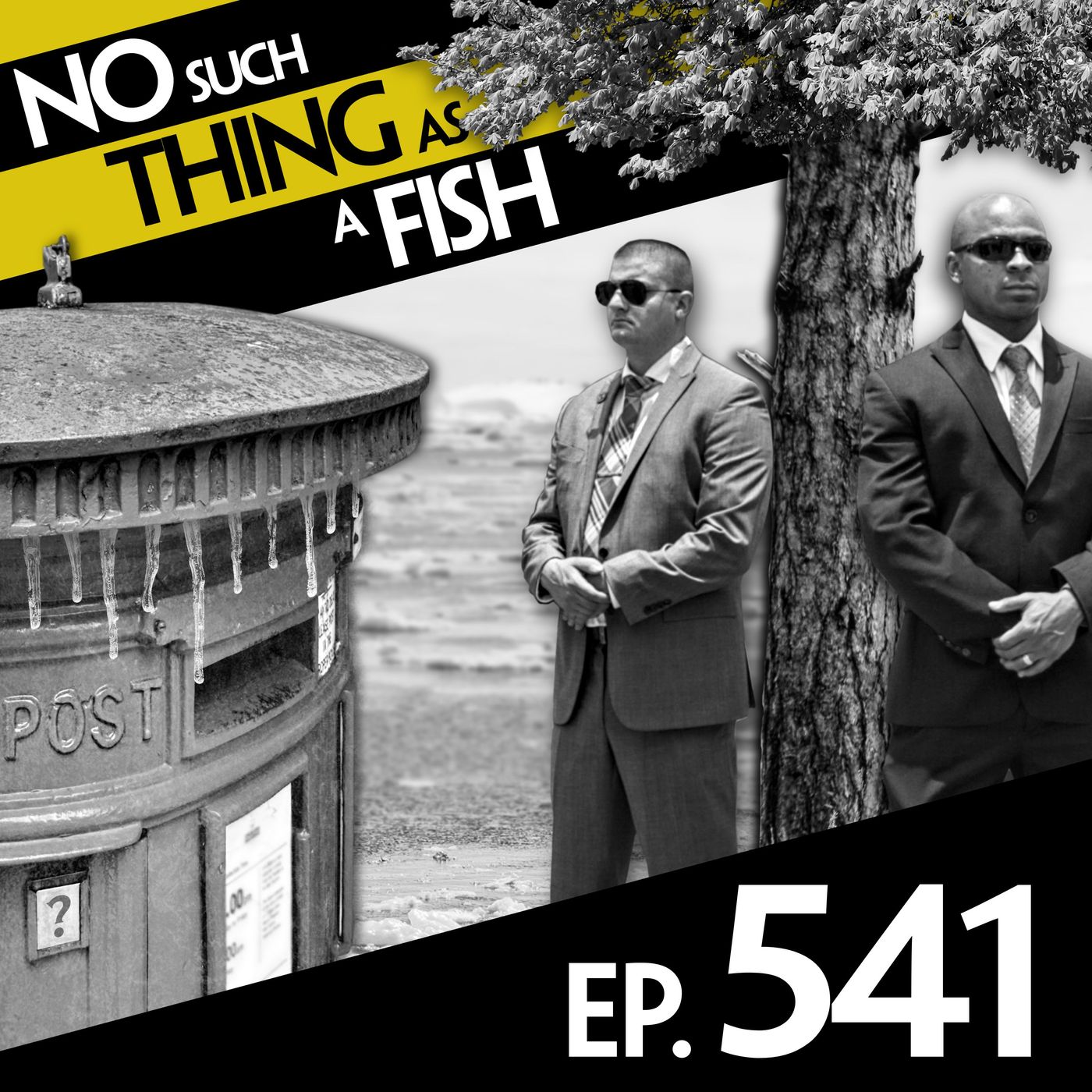 No Such Thing As A Sycamore In A Silver Coat episode artwork