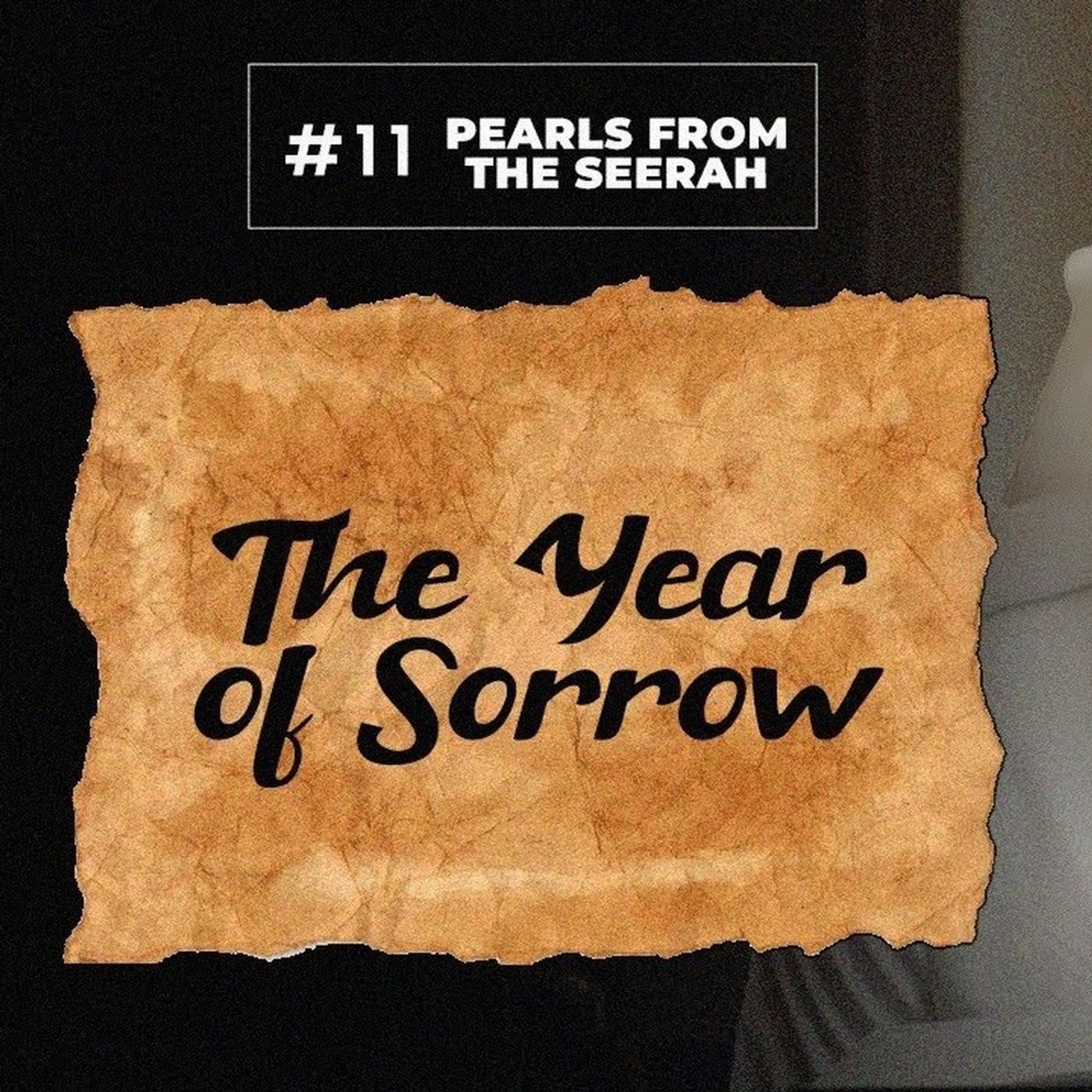 11 - The Year of Sorrow