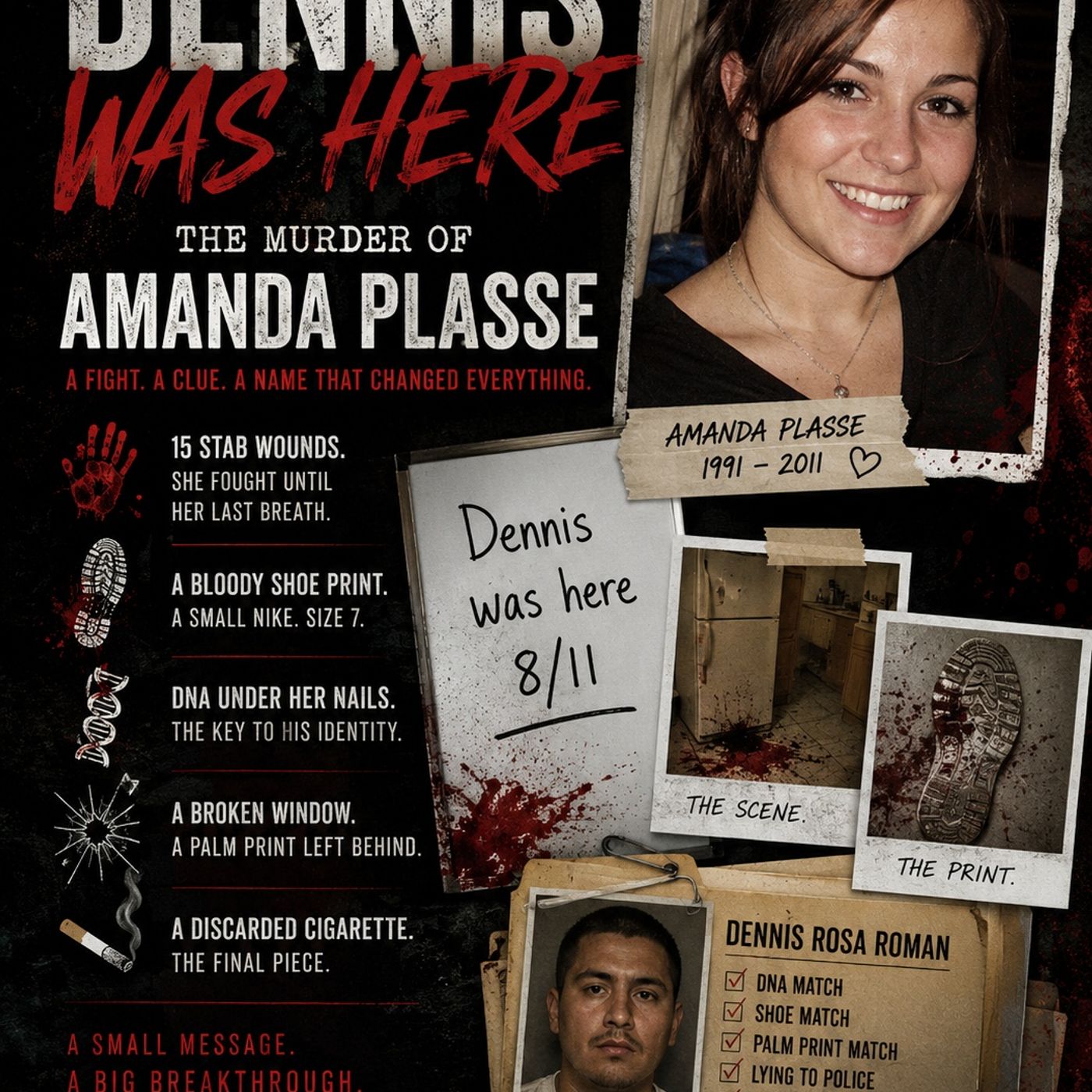 Amanda’s Final Fight: The Clue Hidden in Plain Sight episode artwork