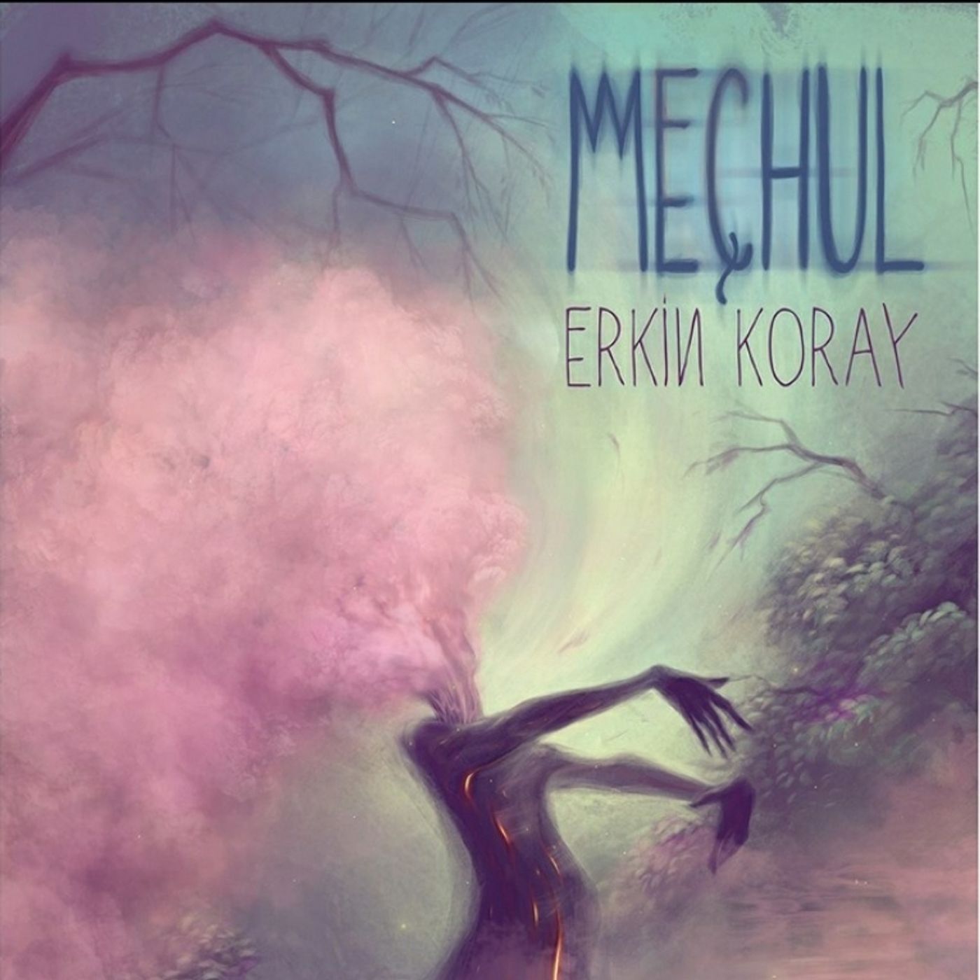 Erkin Koray - Meçhul episode artwork