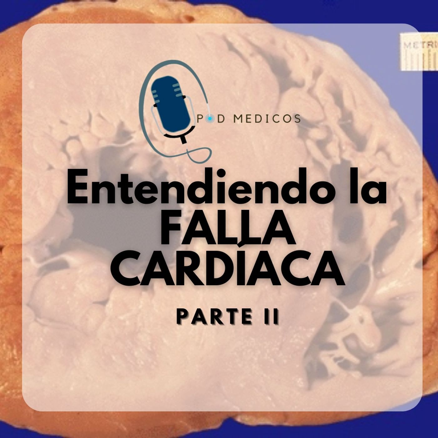 PodMedicos