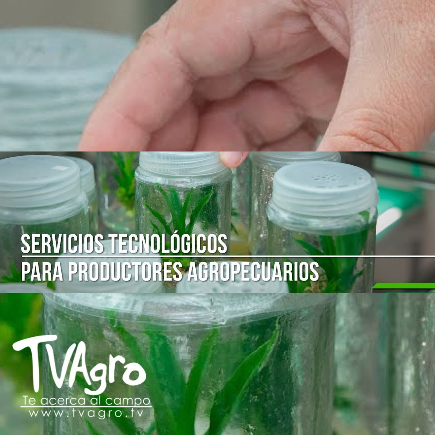 TV AGRO