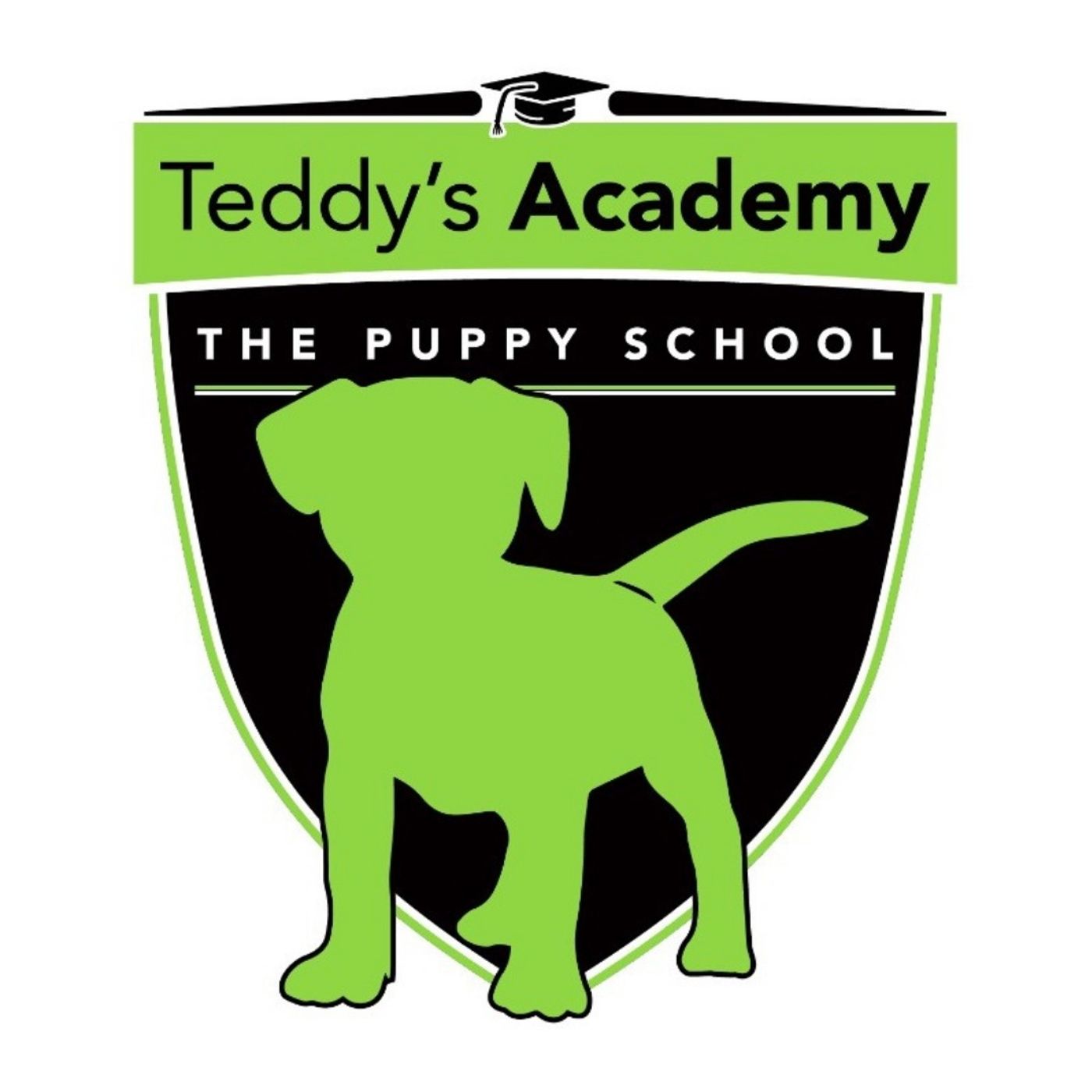 Il cucciolo Perfetto