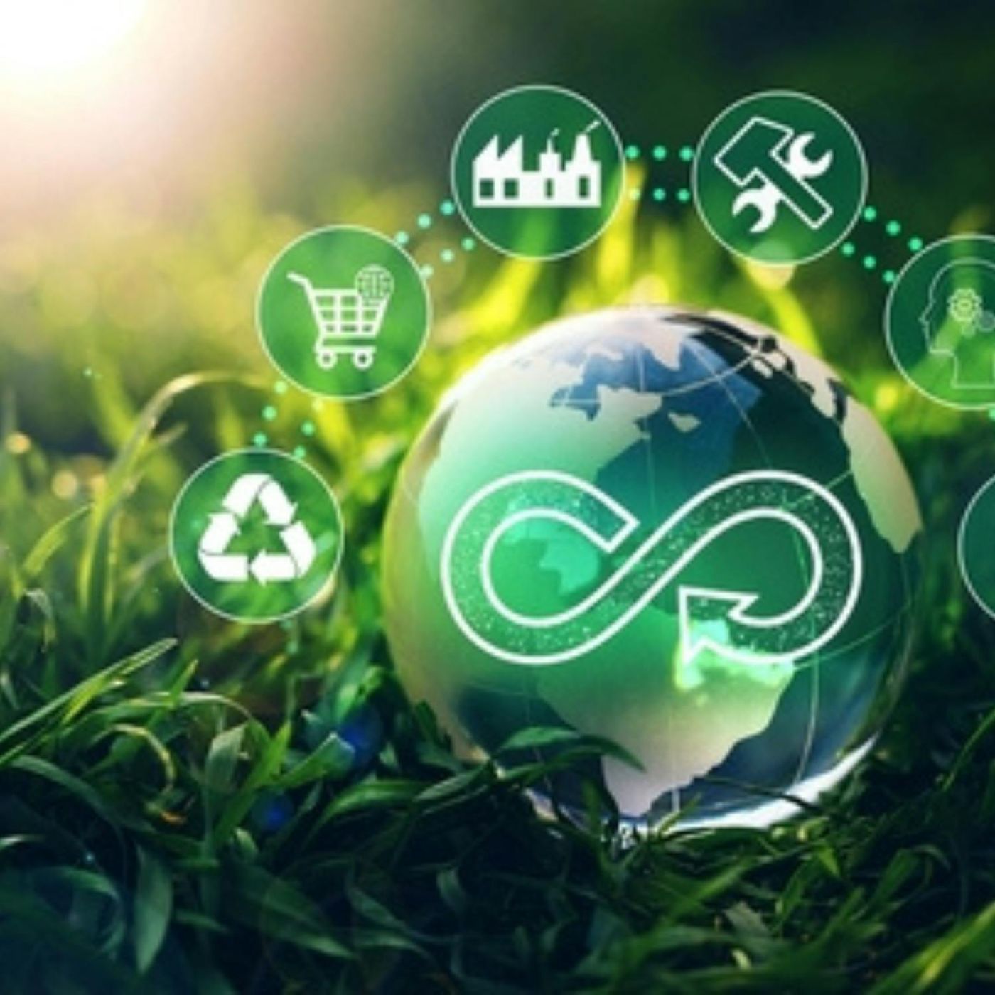 Implementing the Circular Economy