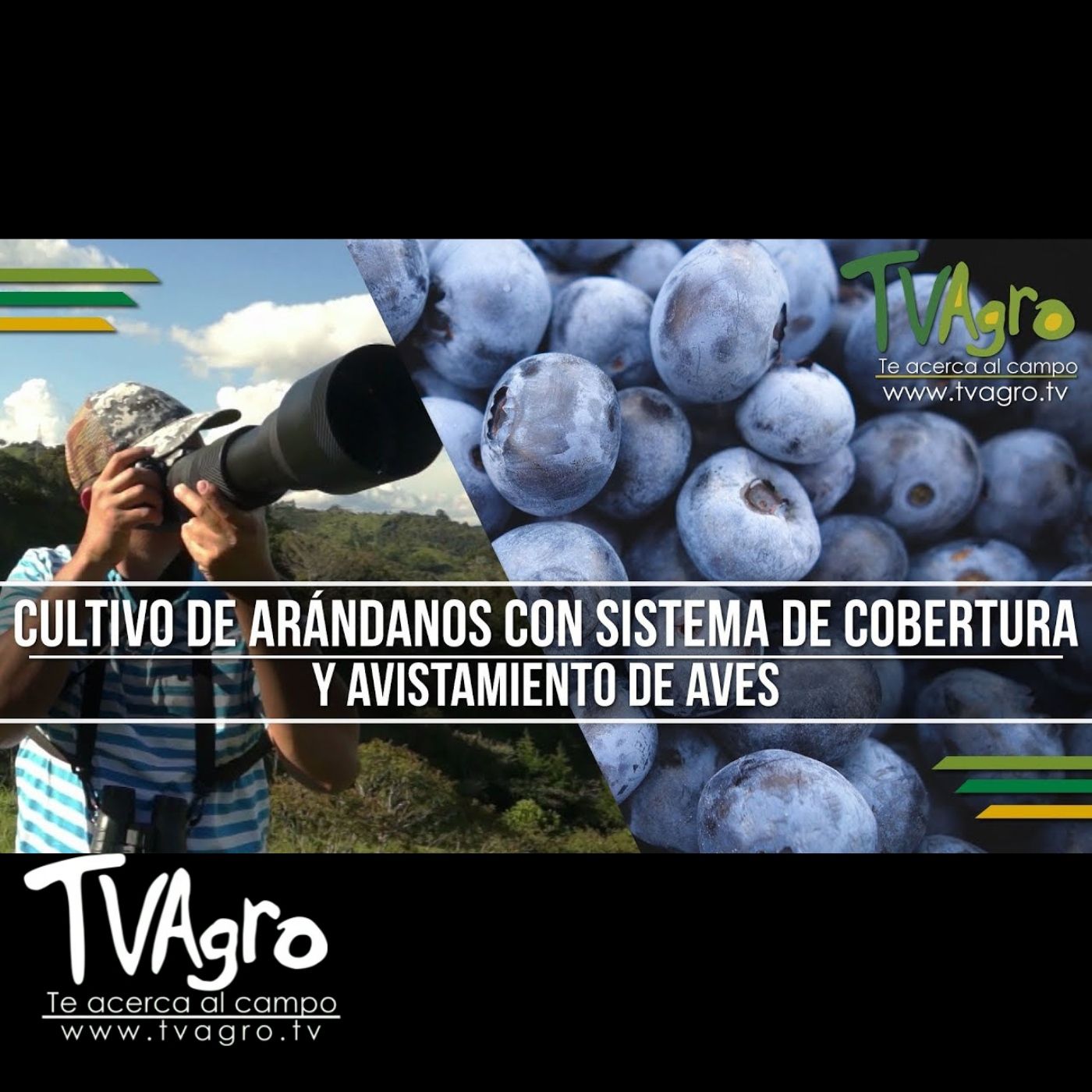 TV AGRO