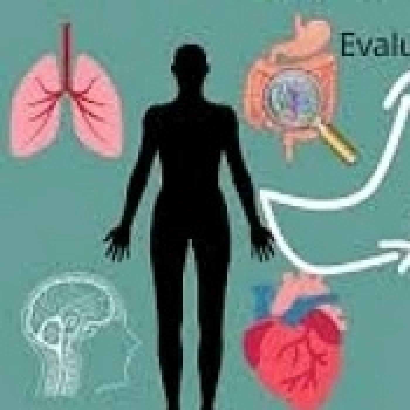 El factor energético en la salud humana. - Episodio exclusivo para mecenas episode artwork