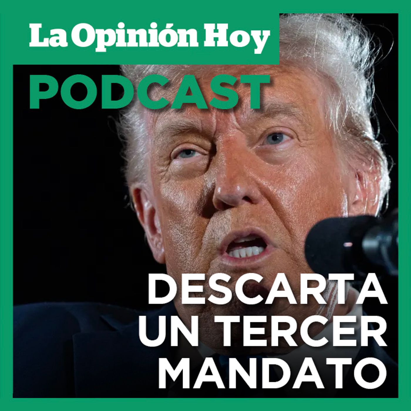 Trump apoya al vicepresidente y Secretario de Estado como sucesores.