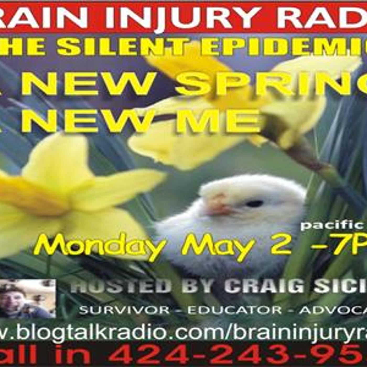 Craig Sicilia founder BIR