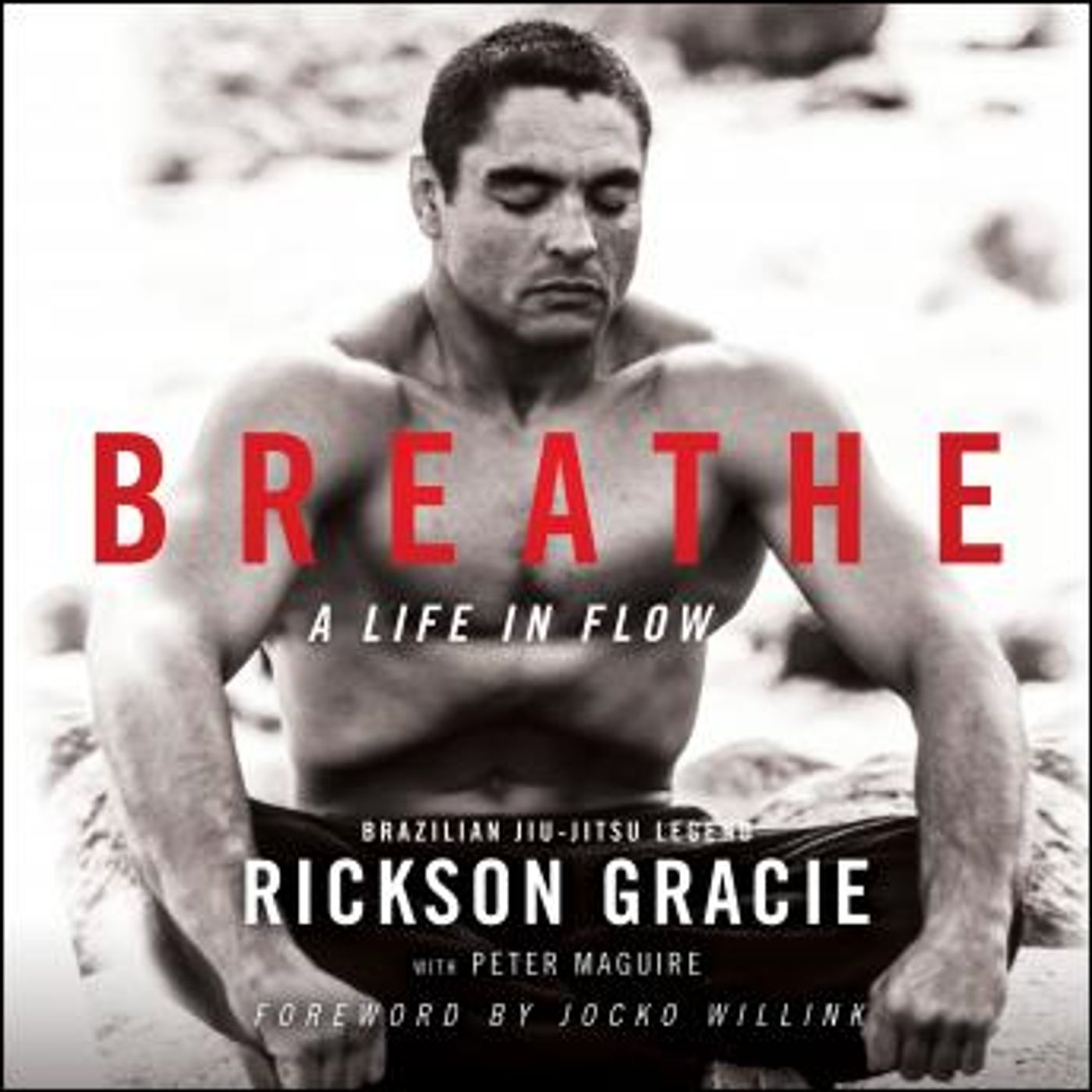 Free Audiobooks in Biography & Memoir, Memoirs