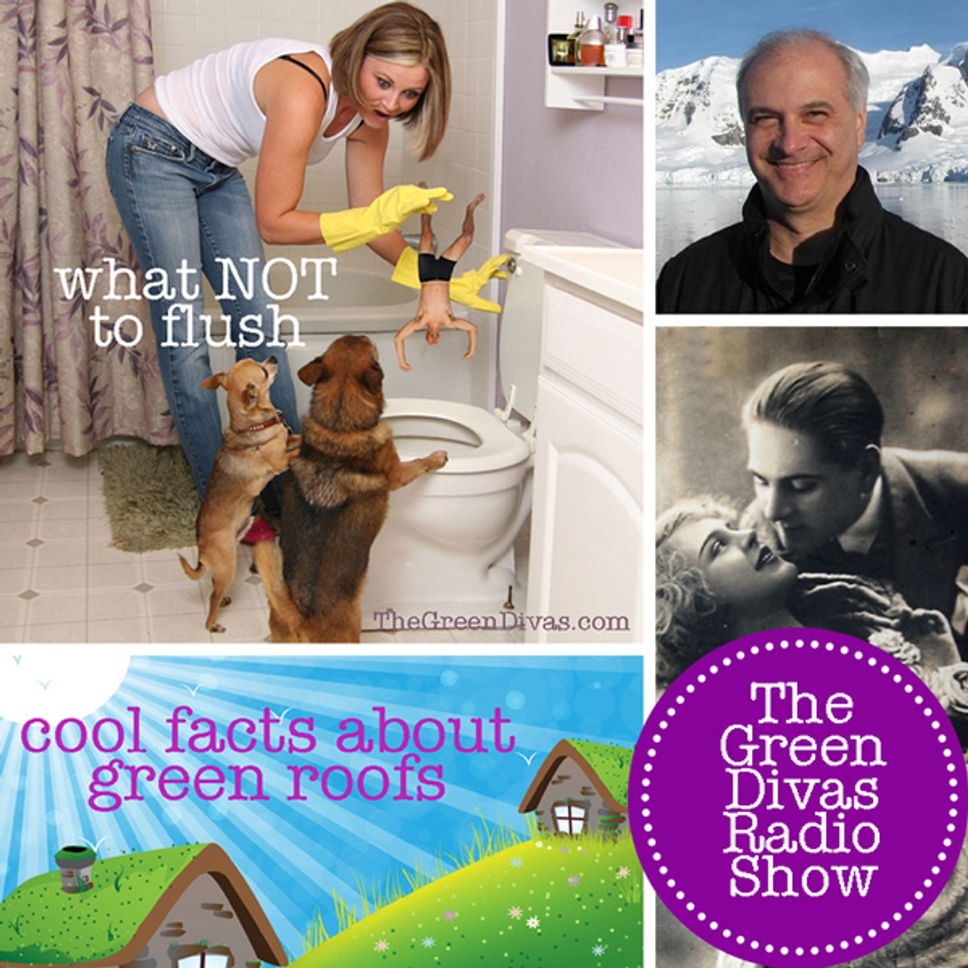 The Green Divas Radio Show
