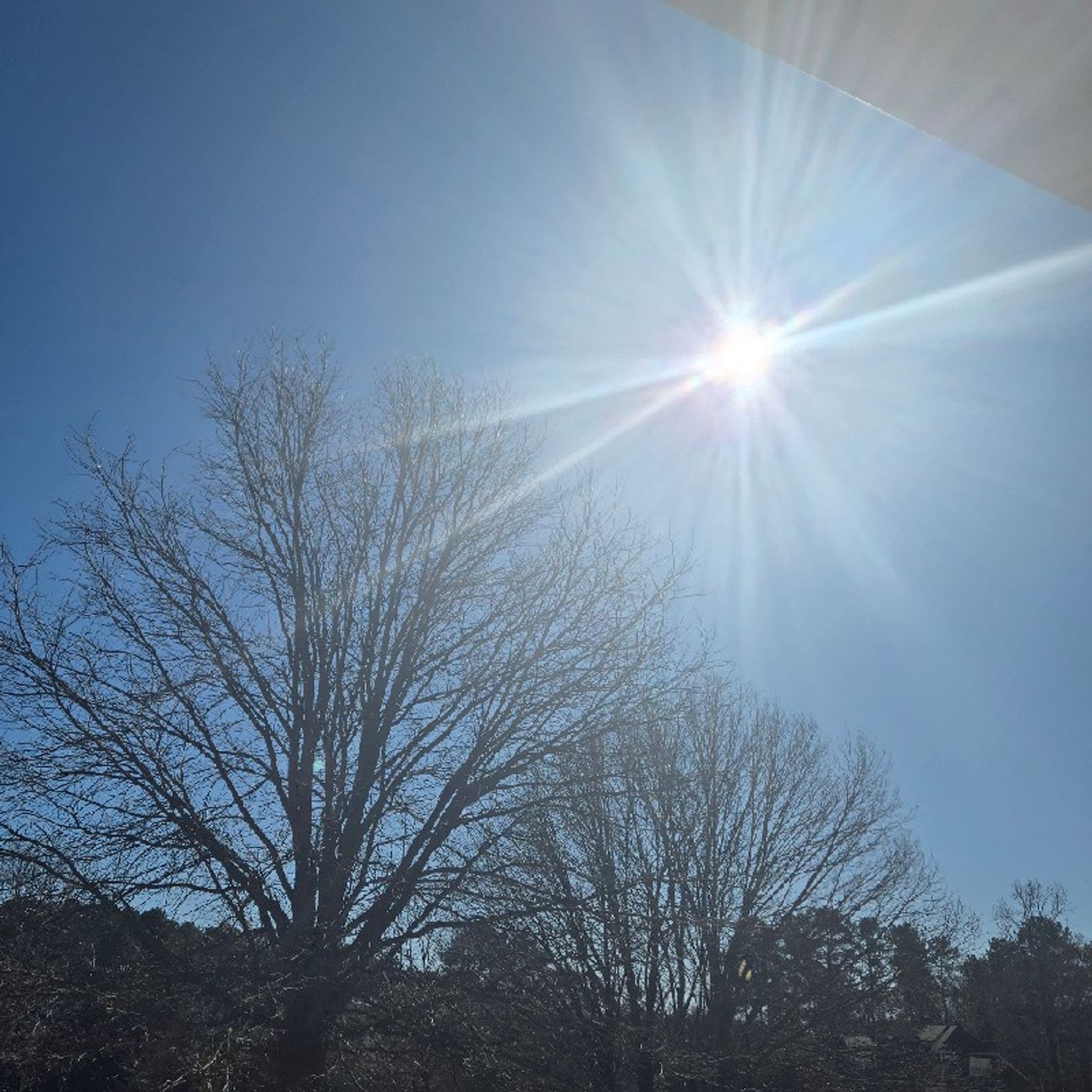 Episode 111 - oh Abba, Sushi