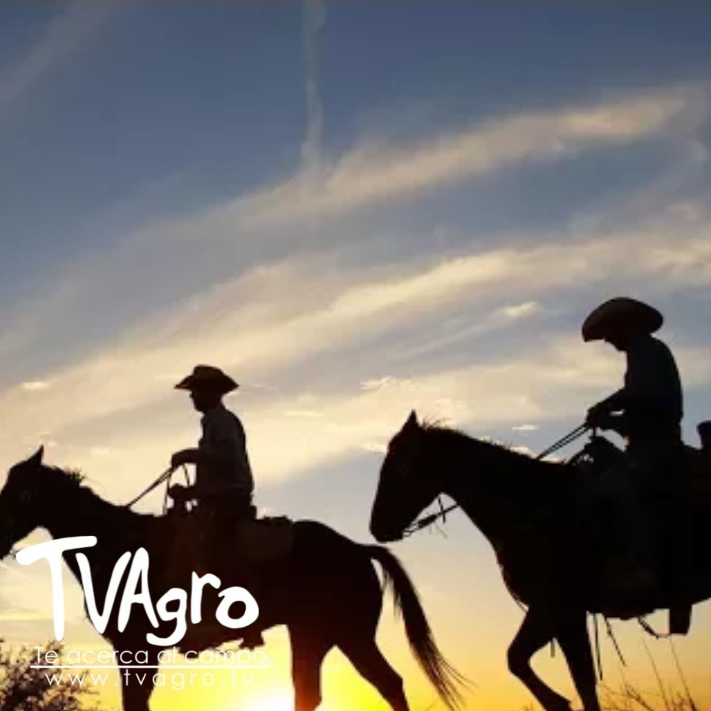TV AGRO