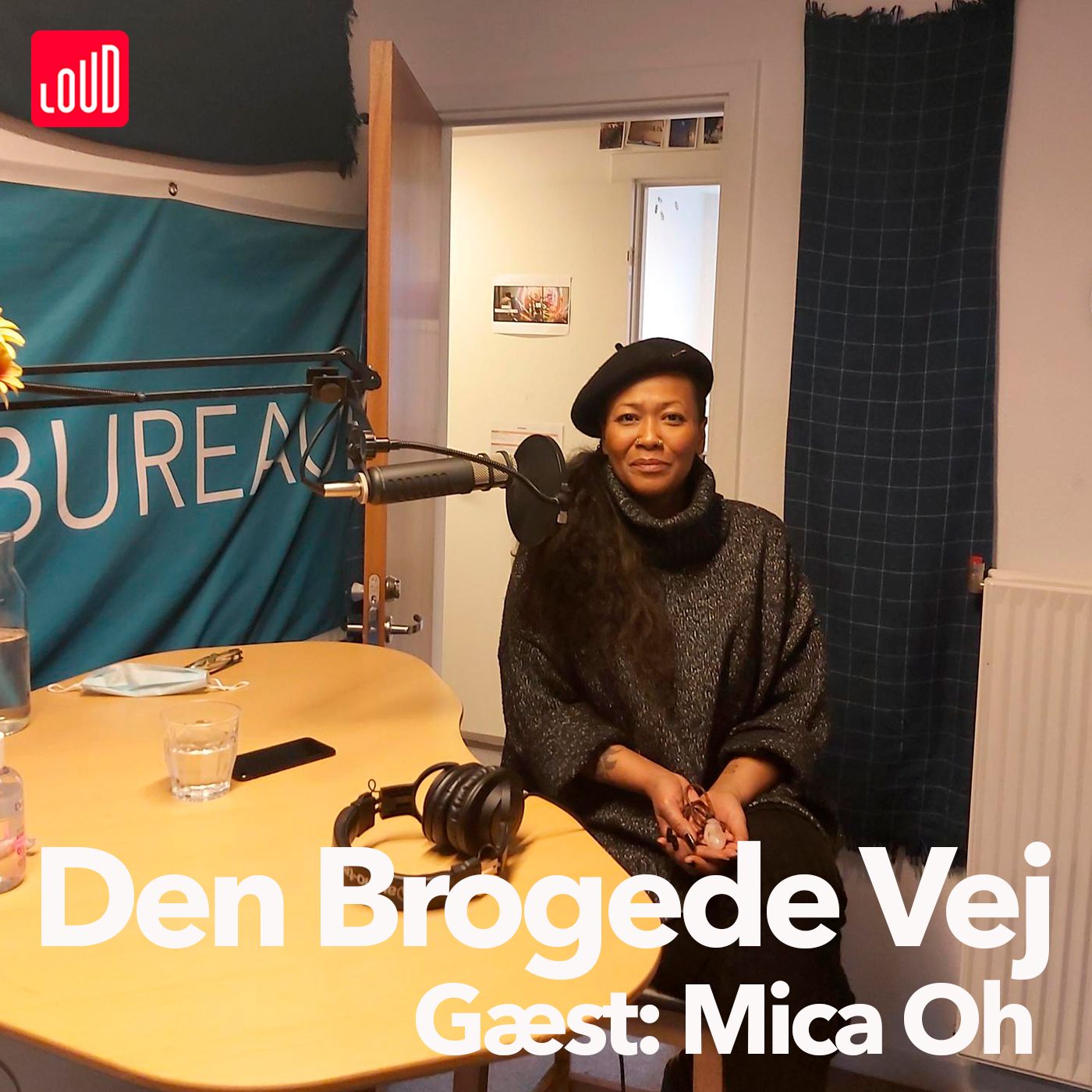 Den Brogede Vej