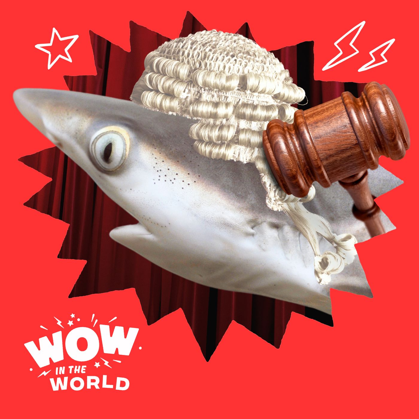 Baby Shark Case: Did Scientists Finally Find the First Baby Great White Shark? (Encore)