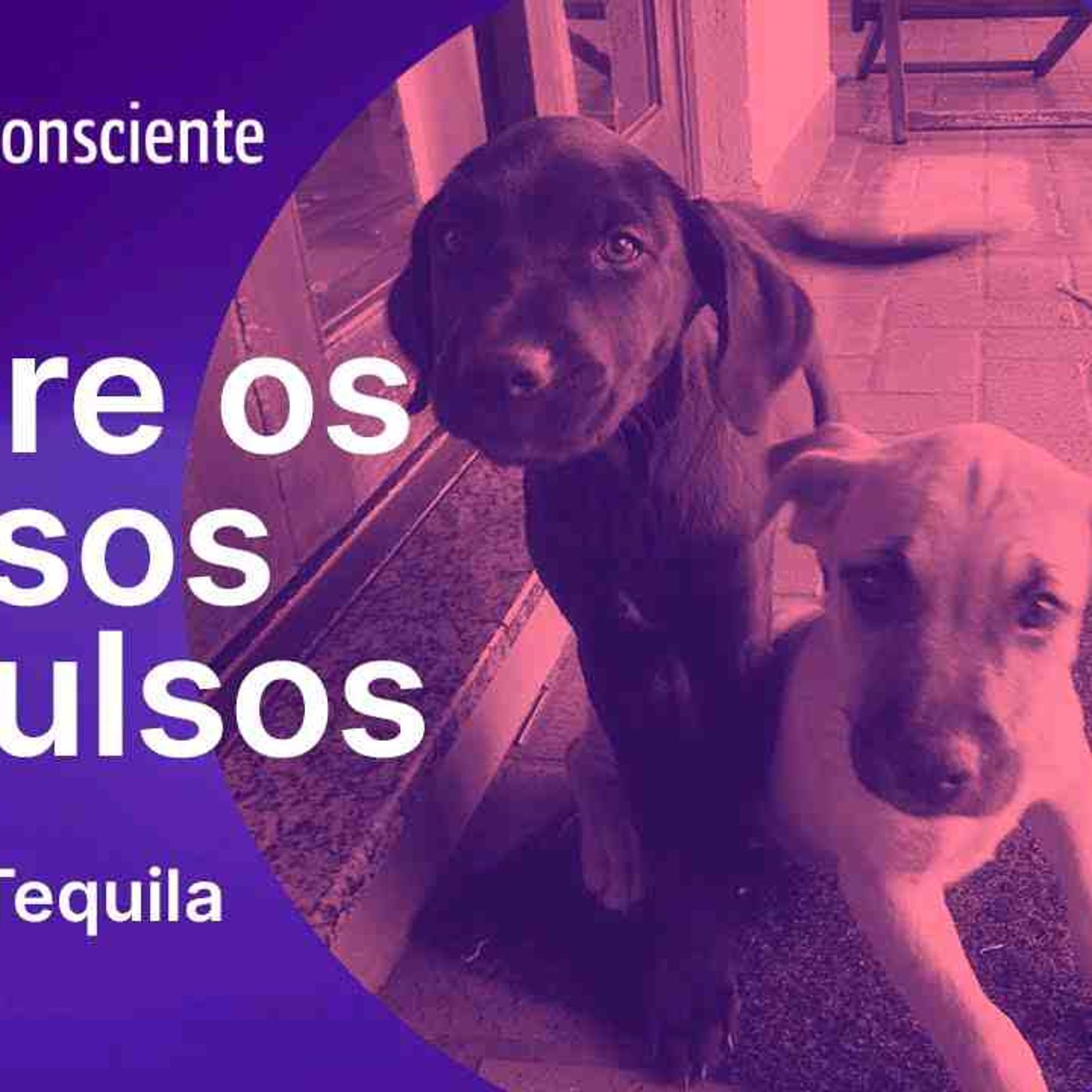 Jonny e Tequila _ Sobre os nossos impulsos _ Autoconsciente episode artwork