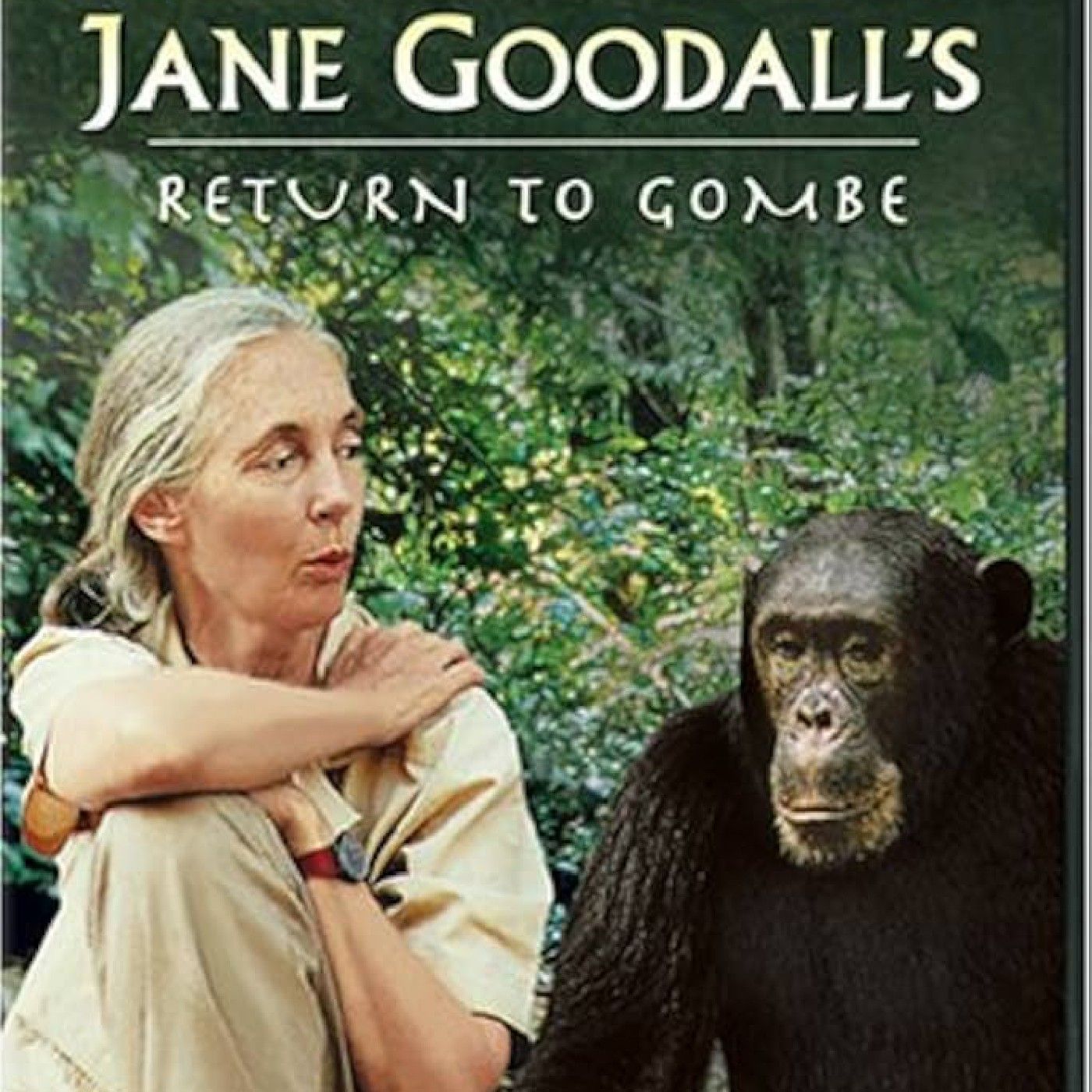 Voces que inspiran cover art