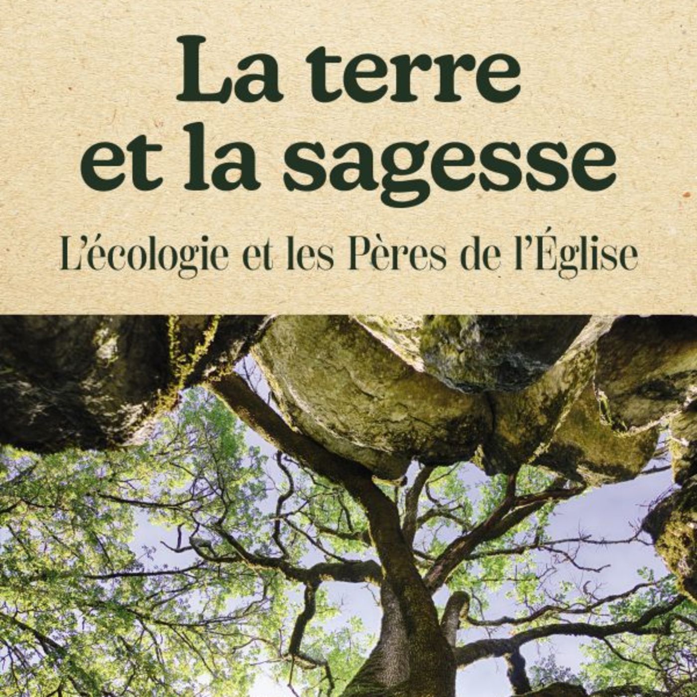 La terre et la sagesse / Jean-François HOLTHOF