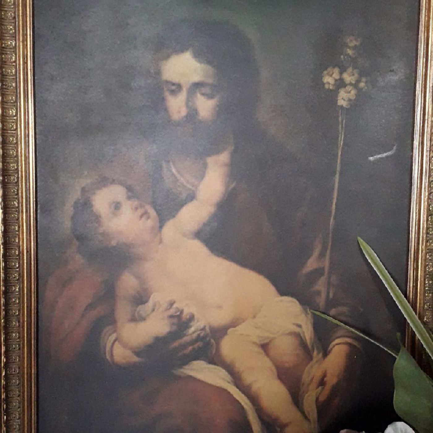 Meditaciones Y Homilías