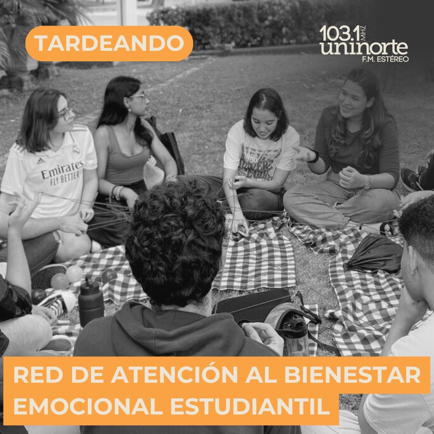 Red de apoyo, prevención y atención al bienestar emocional de la comunidad universitaria episode artwork