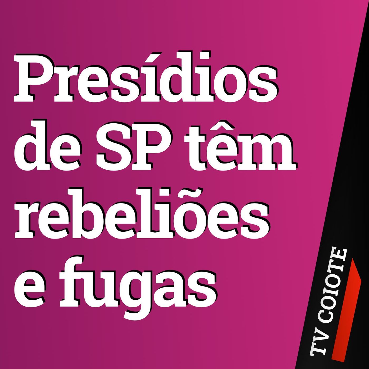 TV Coiote