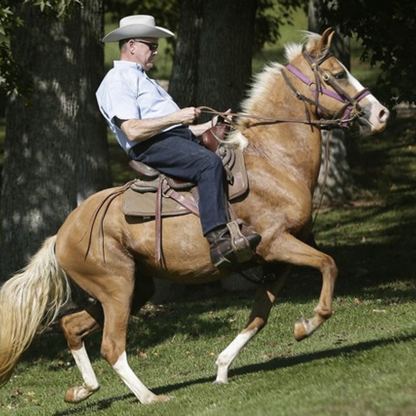 Judge Moore crushes Strange,Mitch McConnel,and Karl Rove in Runoff episode artwork