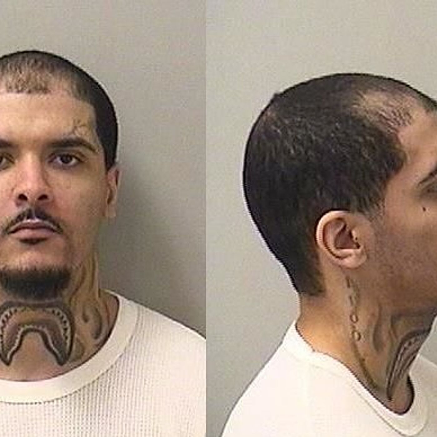 Lake in the Hills man sentenced to 96 years in fatal road-rage shooting in Elgin episode artwork