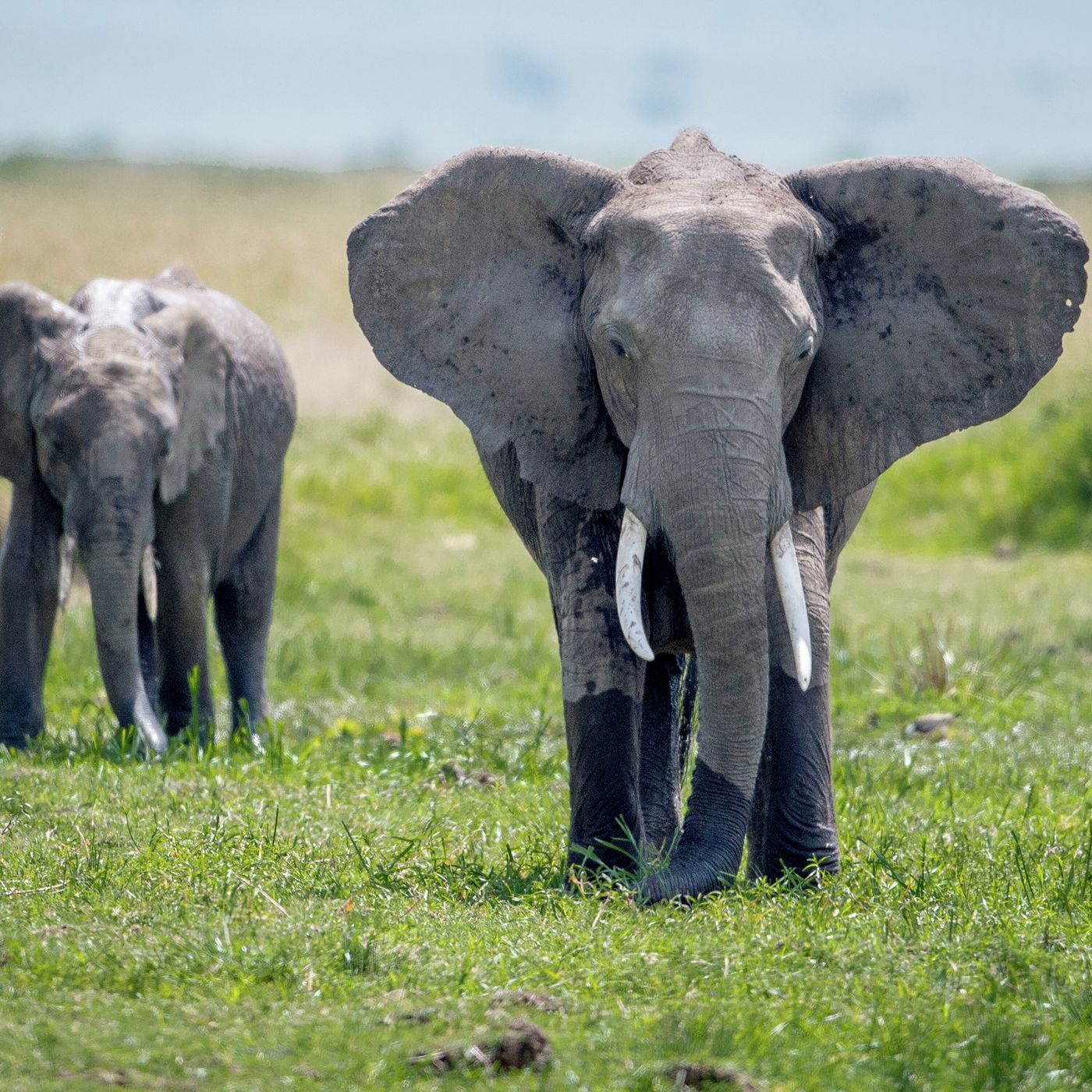Meditaciones Diarias