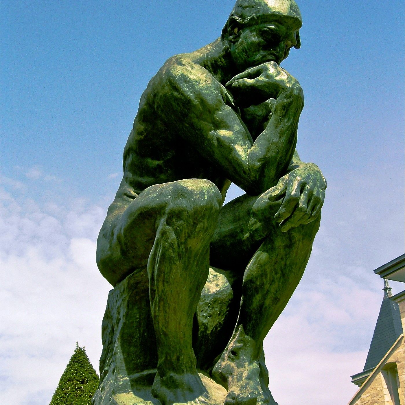 "REFLEXIONES" MERLUZAS