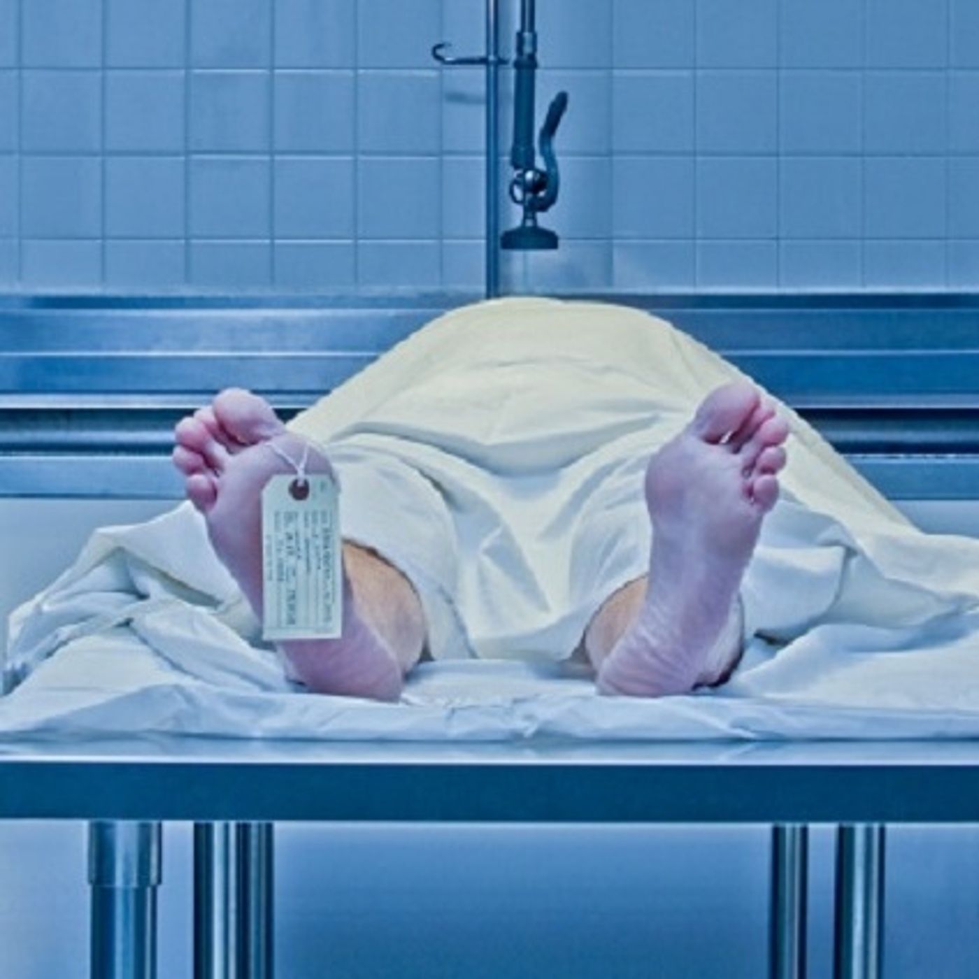 Doctor gets hilarious last work in actual autopsy testimony in court! (Joke of the Day) episode artwork