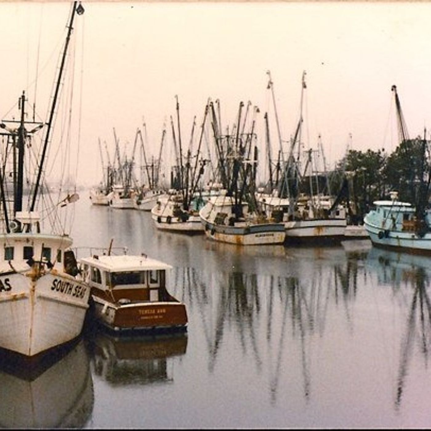 Will Haynie = #chs shrimpers & Loc. Govt episode artwork