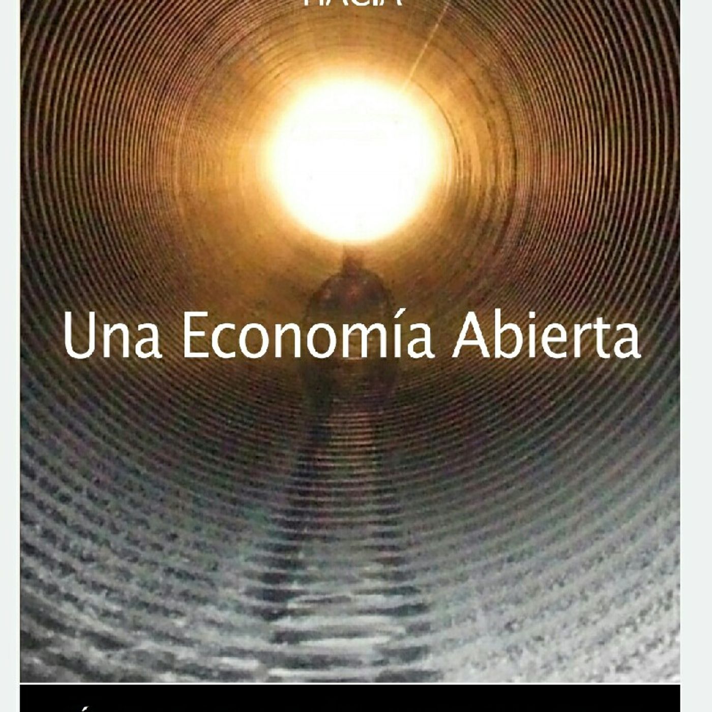 Hacia Una Economía Abierta