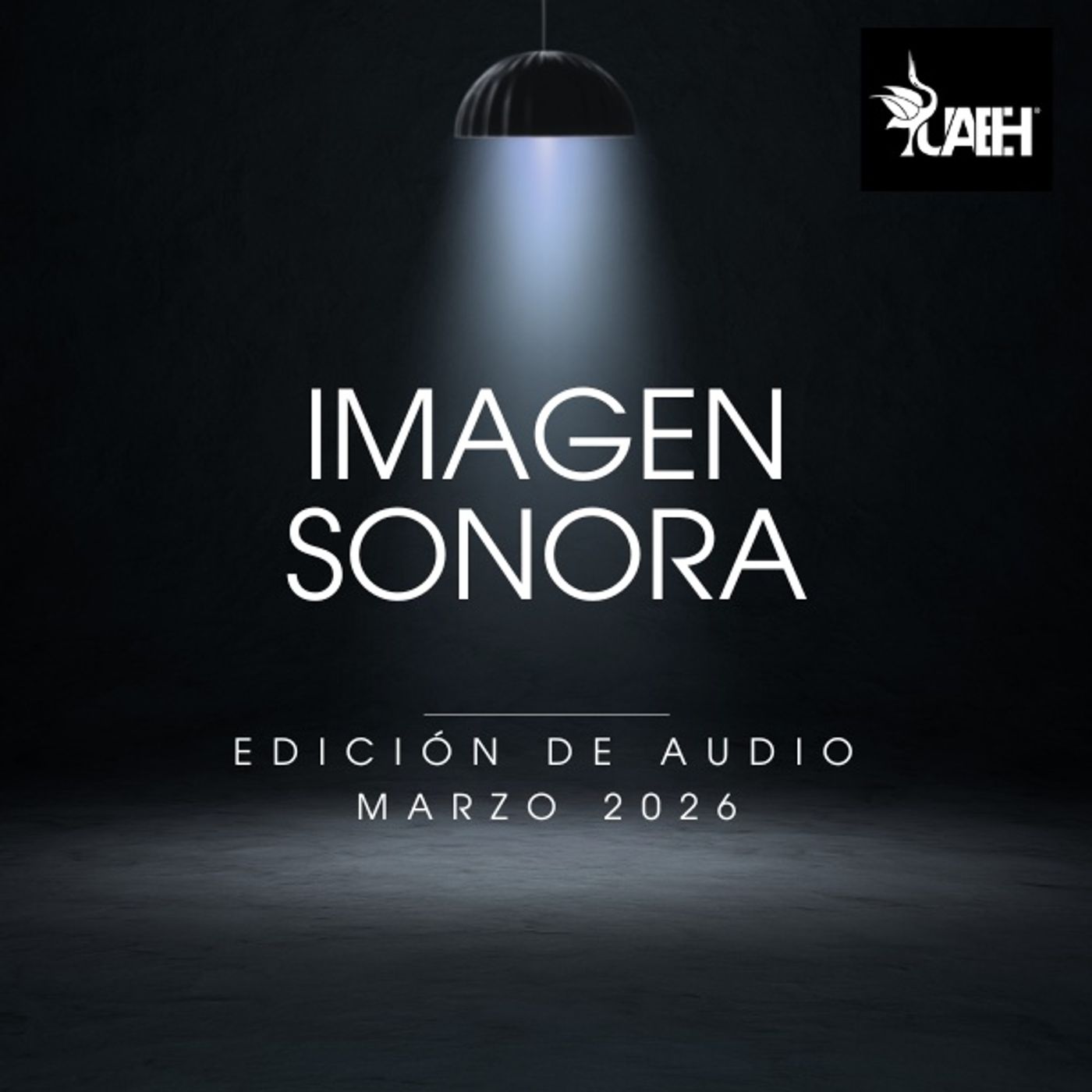 La imagen sonora