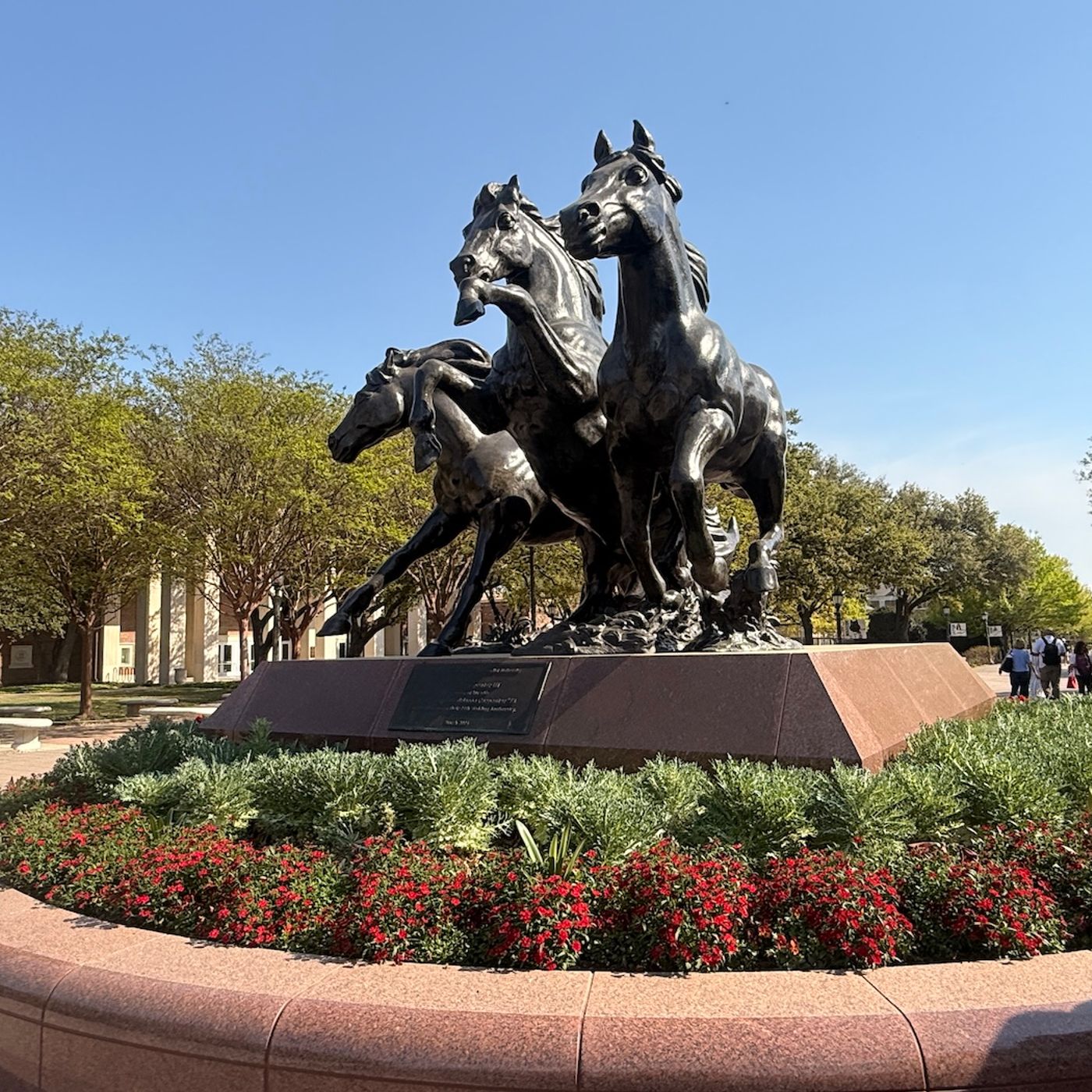 Inside SMU: Beautiful Campus, Big-City Opportunities and the Mustang Experience || E108 episode artwork