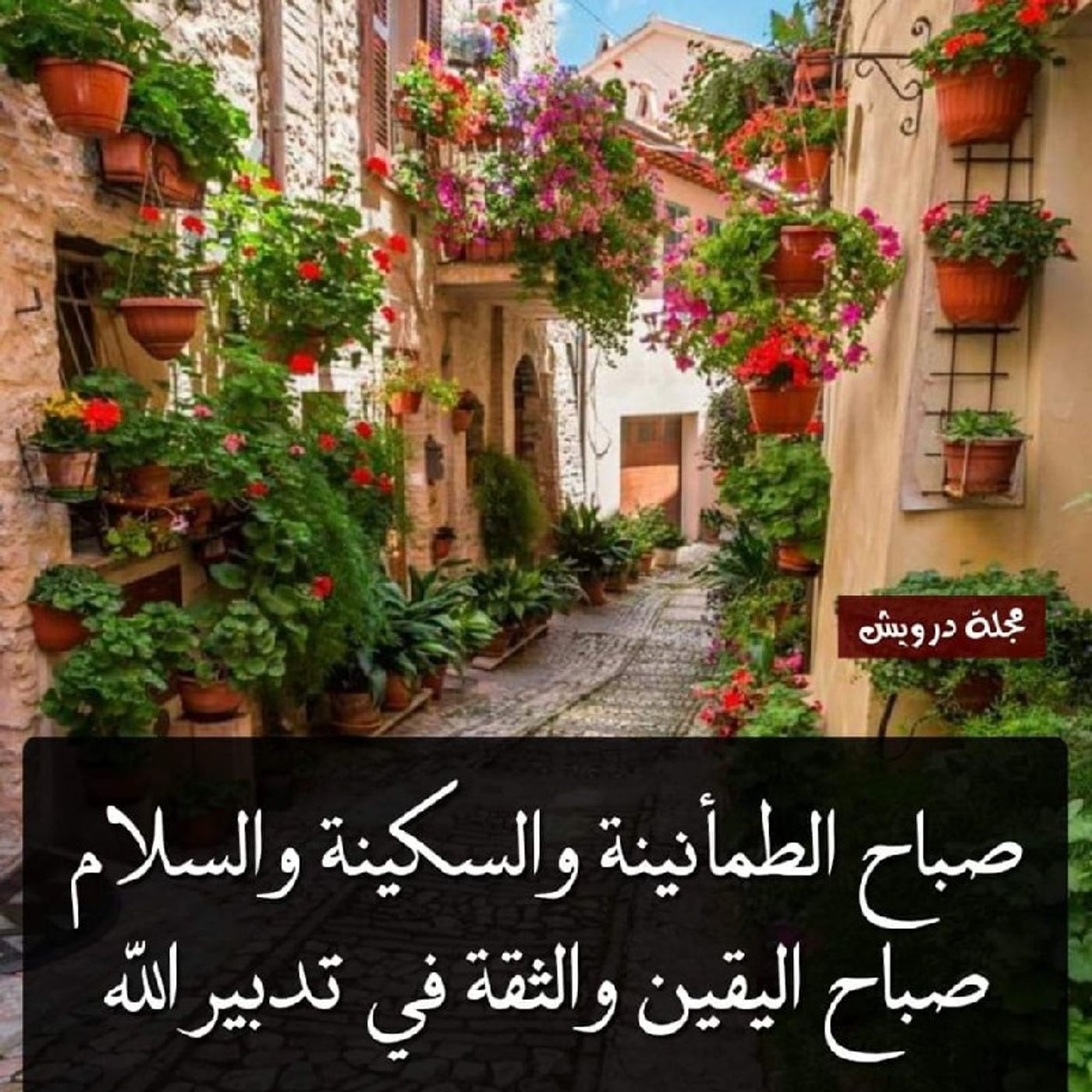 Episode 14 - جامعة ملوك الحرف النقدية