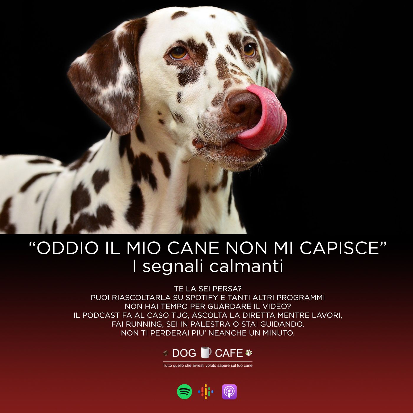 Dog Cafe Podcast