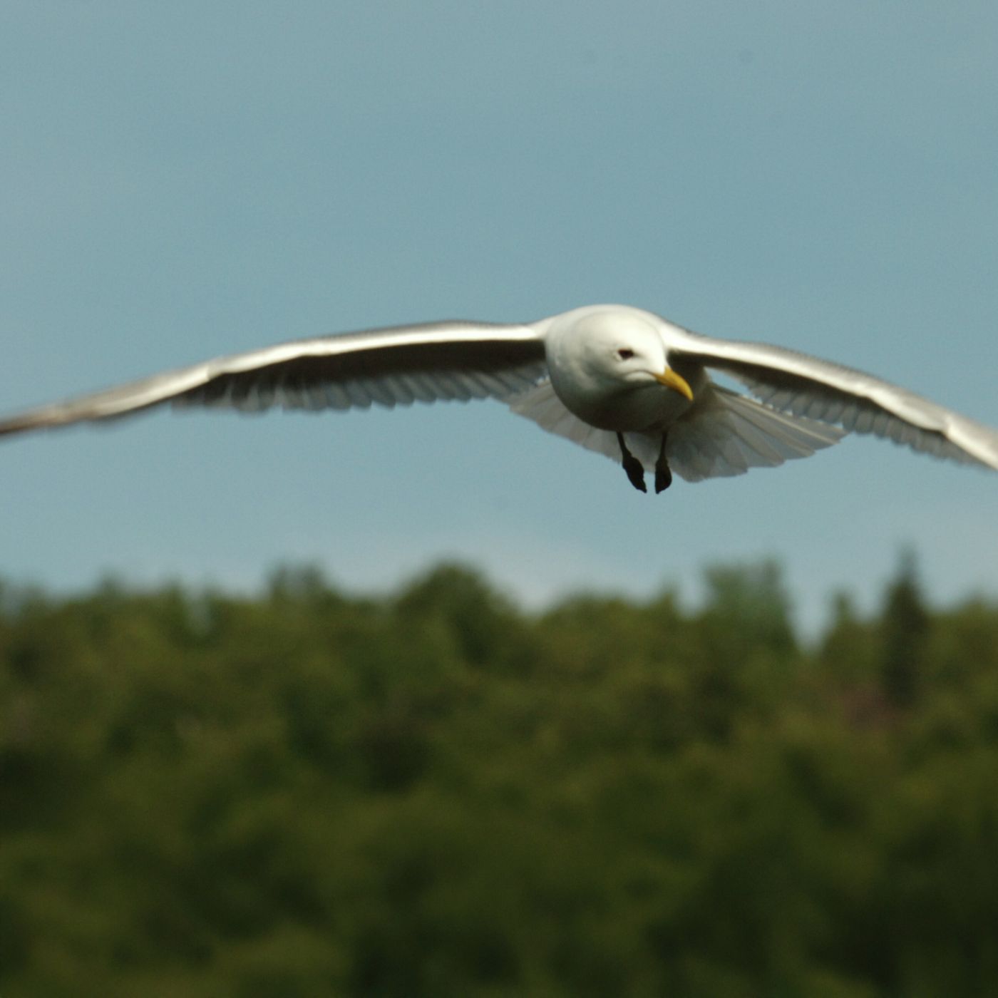Puede confiar en Dios Puede confiar en Dios