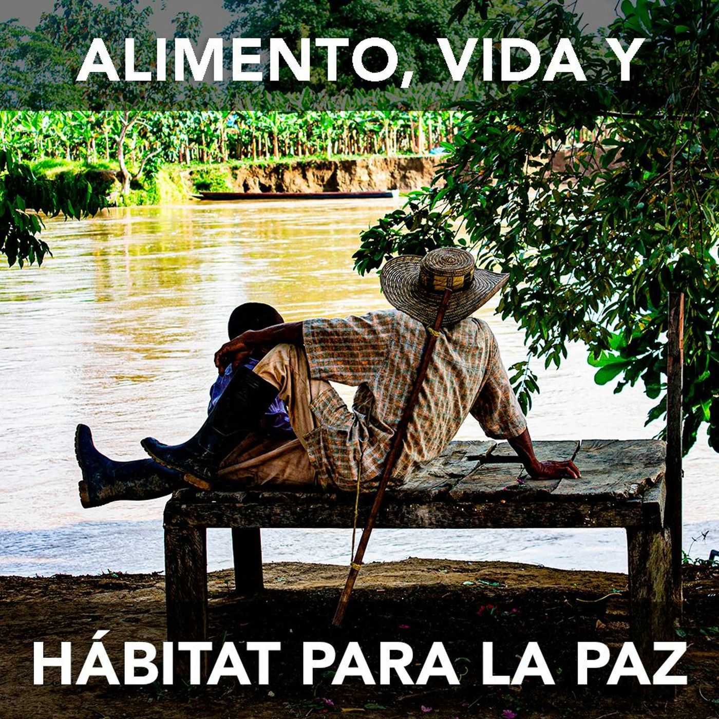 Alimento, vida y hábitat para la paz | Desafíos RCN-Javeriana episode artwork