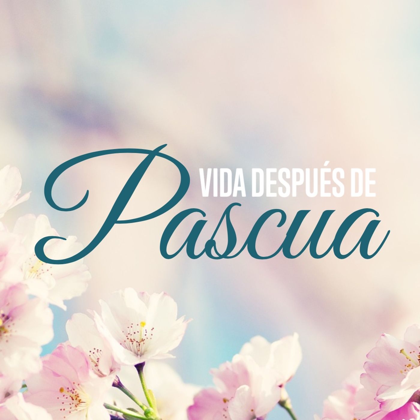 Sabiduría para el Corazón