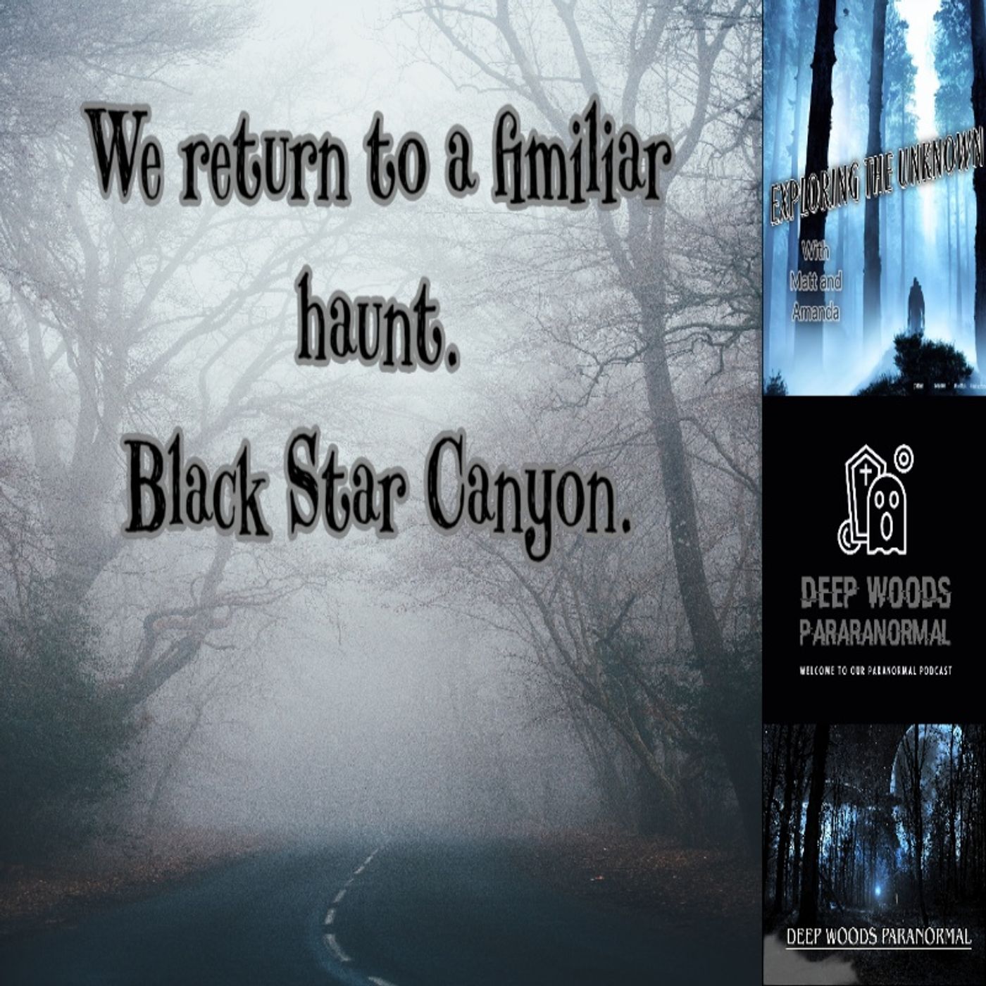 We talk about all things paranormal. Hauntings, UFOS, Bigfoot Dogman and more paranormal activity.