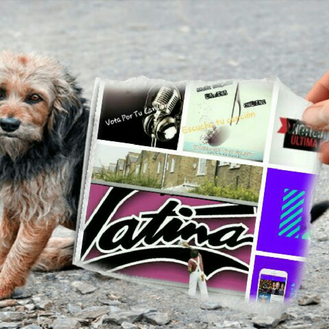Radio LATINA