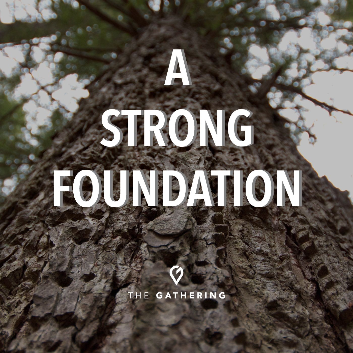 A Strong Foundation episode artwork